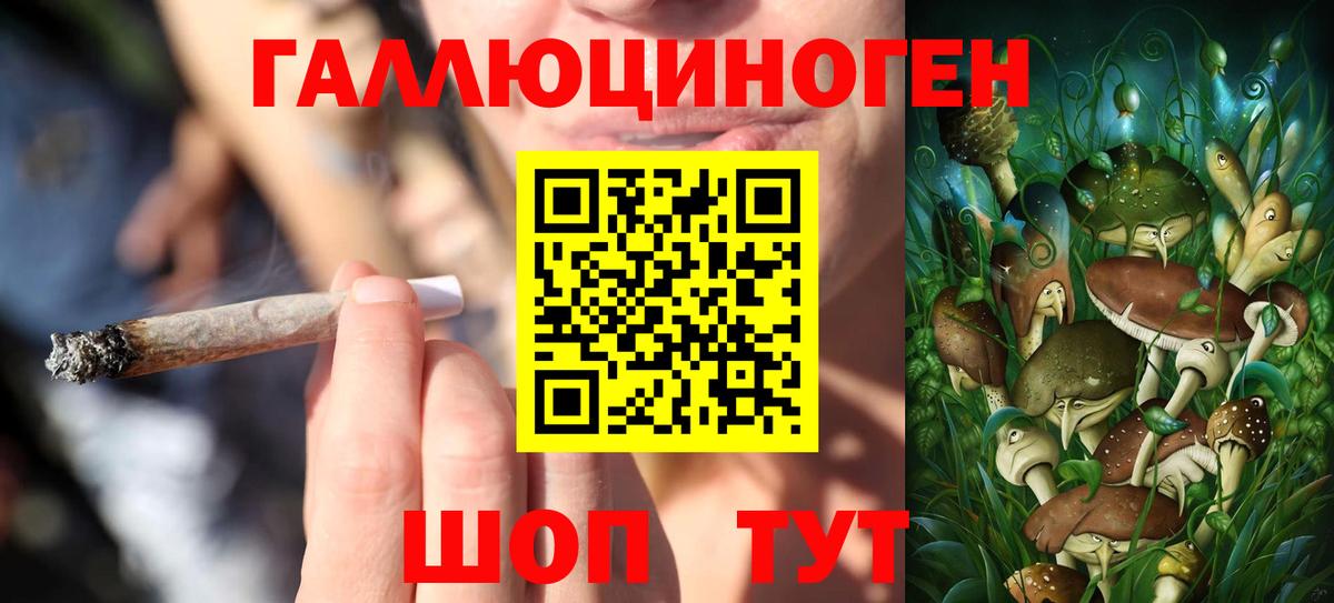 Верхняя Пышма  Псилоцибиновые грибы Cubensis  Вход с VPN  Галлюциногенные грибы прущие грибы 